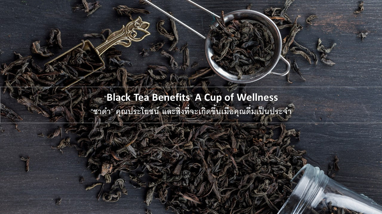 “Black Tea Benefits” A Cup of Wellness “ชาดำ” คุณประโยชน์ และสิ่งที่จะเกิดขึ้นเมื่อคุณดื่มเป็นประจำ 