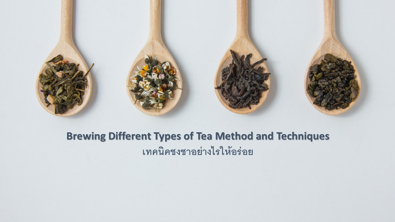  Brewing Different Types of Tea Method and Techniques: ชาแต่ละชนิดต่างกันอย่างไร และชงชาอย่างไรให้อร่อย 