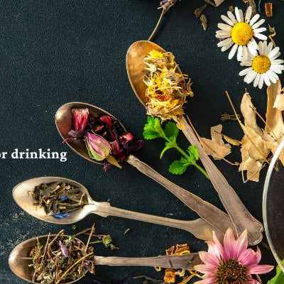 Herbal Teas: Flowers that are good for drinking