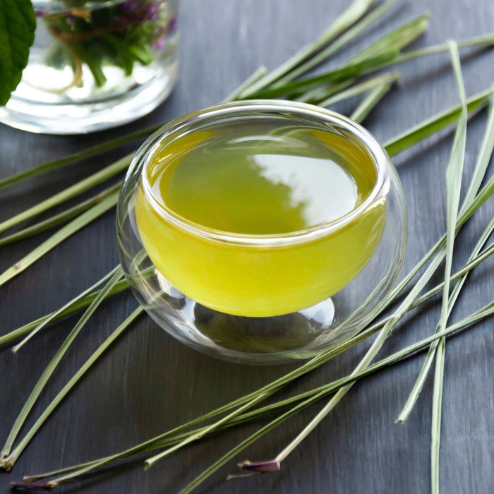 คุณประโยชน์ 5 ประการของ “Lemongrass Ginger” ชาสมุนไพรตะไคร้ขิง หากคุณดื่มเป็นประจำในทุกๆเช้า