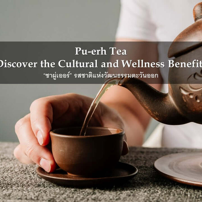 Pu-erh Tea: Discover the Cultural and Wellness Benefits “ชาผู่เออร์” 普洱茶 รสชาติแห่งวัฒนธรรมตะวันออก