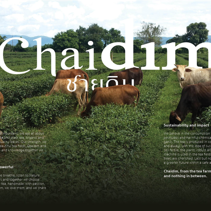 Chaidim Merry X Mas and Happy New Year 2016