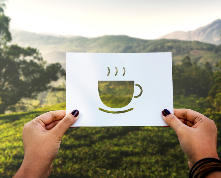 No Caffeine, Still Powerful: Herbal Teas That Energize Naturally