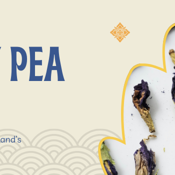 Butterfly Pea Flower: Thai Healing Brews