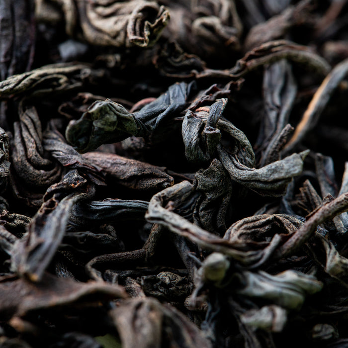 Lapsang Souchong: A Ritual of Smoke, Silence, and Time