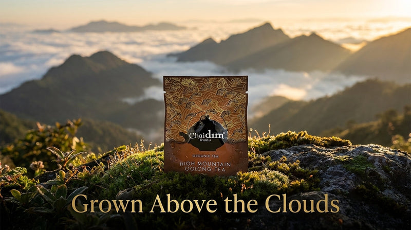 Chaidim High Mountain Oolong sachet on a mossy ridge above a sea of clouds at dawn in Northern Thailand — Grown Above the Clouds
